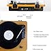 Belt-Drive Wood Turntable 3 Speed Retro&Modern DJ Vinyl LP Records Player with Stereo Speakers Supporting Vinyl to MP3 Converter (GT201)