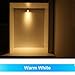 Makergroup S8 3156 Wege LED Bulbs, S-8 3156K Plastic Base Bulb, 4W Warm White 2700K-3000K, 12V Low Voltage for Outdoor Landscape Lighting Pathway, Driveway Lights 6-Pack