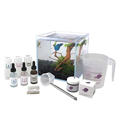 Aquarium Kit for Betta Fish with Rimless Glass Tank, Lava Rock Gravel, Stainless Net, Fish Food, Water Treatments, Good Bacteria, Guide Book, and More