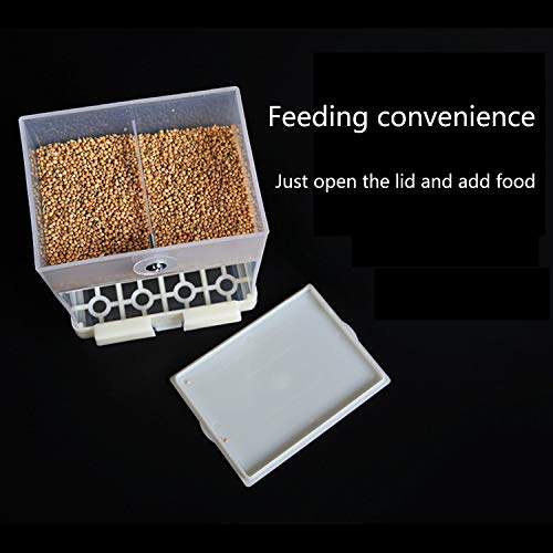3 RYPET+No+Mess+Bird+Feeder+Integrated