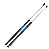 Dayincar Santa Fe Rear Hatch Lift Supports Liftgate Gas Struts Springs (Set of 2) for Santafe 01-06