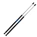Dayincar Santa Fe Rear Hatch Lift Supports Liftgate Gas Struts Springs (Set of 2) for Santafe 01-06