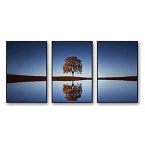 Framed Canvas Wall Art for Living Room, Bedroom Beautiful Nature Norway Landscape Canvas Prints for Modern Home Decoration Ready to Hang - 16"x24"x3 Panels