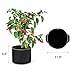 Delxo 10-Pack 5 Gallon Grow Bags Heavy Duty Aeration Fabric Pots Thickened Nonwoven Fabric Pots Plant Grow Bags with Handlesthumb 4