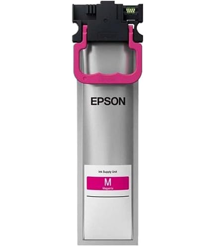 Amazon.com: Epson DURABrite Ultra T902XL220 -Ink Pack - High