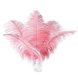 24pcs Natural Lotus Pink Ostrich Feathers 10-12inch
