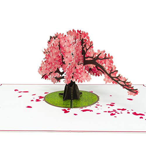 Paper Love Cherry Blossom Pop Up Card, 3D Popup Greeting Cards, For Mothers Day, Graduation, Spring, Valentines Day, Wedding, Anniversary, Birthday, Any Occasion