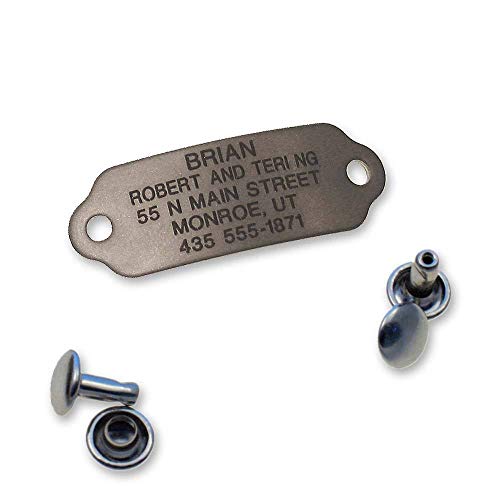 Rivet-On Pet ID Tag, Silent, Personalized and Customized Dog ID Tag That Rivets Directly onto Collar, Matte Finish Stainless Steel, Size: Medium