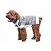OFPUPPY Dog Sweater with Bow Tie Gentleman Style Pet Decent Winter Clothes for Both Girl and Boy Puppies