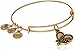 Alex and Ani Path of Symbols A17EB05RG Expandable Bangle for Women, Love Charm, Rafaelian Gold Finish, 2 to 3.5 in