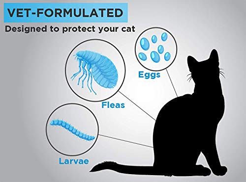 3 TevraPet+Actispot+Flea+Prevention+Treatment