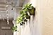 WallyGro Recycled Wally Eco Vertical Garden Living Wall Planter 4 Pack Olivethumb 3