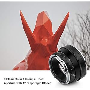 Pergear 35mm F1.6 Manual Focus Prime Fixed Lens for Olympus and Panasonic Micro Four Thirds MFT M4/3 Cameras