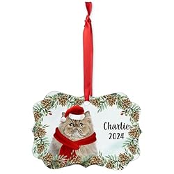 Ticked Tabby Persian Cat Christmas Ornament 2024