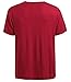 Latuza Men's V-neck Elastic T-Shirt M Wine Red