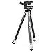 Sunpak Platinum Plus by Sunpak 4200XL Tabletop Tripod (Black)