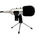 Artempo Professional Studio Microphone Set Broadcast Recording Condenser Sound Microphone with Tripod Stand