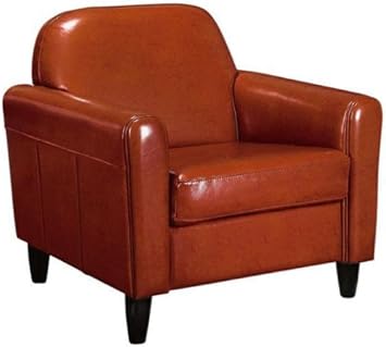 Amazon Com Home Decorators Collection Cannes Leather Club Chair