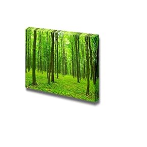 Canvas Prints Wall Art - Trees in a Green Forest in Spring | Modern Wall Decor/Home Decoration Stretched Gallery Canvas Wrap Giclee Print & Ready to Hang - 12" x 18"