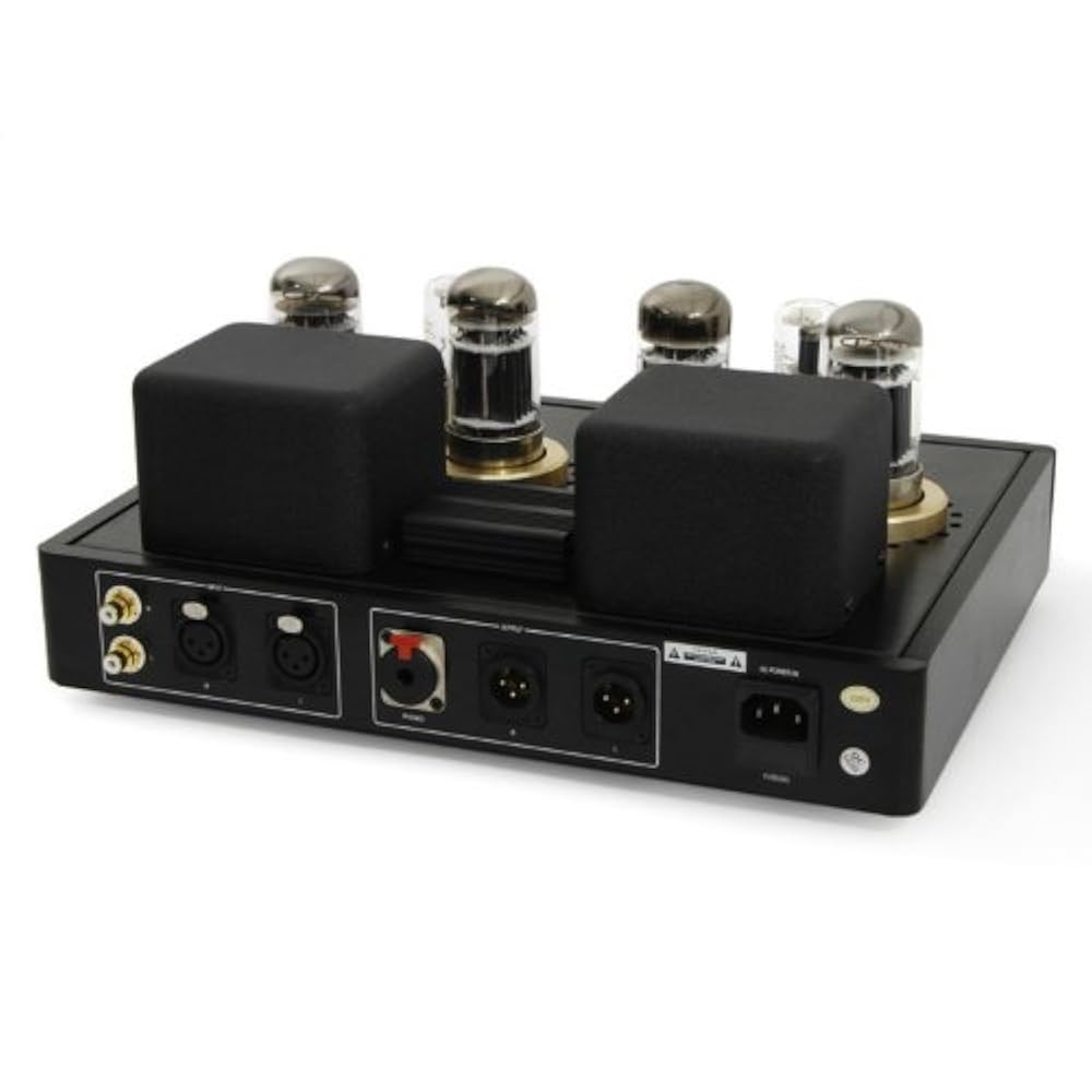 Amplificador Valvular MK6 6080 x4 6h9 C x2 preamp - Imagen 4