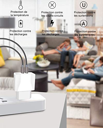 IceFrog Cargador Movil con Cable USB Tipo c [2Pack 2M], Cargador de Movil con 2 Puertos para Samsung S10/S9/S9 Plus/S8+/S8,Note 9/8,Huawei P30/P20/P10/P9/P9+,Xiaomi Mi A2/A1/8/9,Note 7/8/9/10 y más