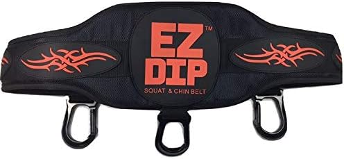 Belt with Chain, Dumbbell Hooks, Weight Plate Pin - Belt Squat Belt - Pull Up Weight Belt - Weighted Dip Belt - Chain Dip Belt - 505# Load Tested & Rated!