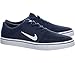 Nike Men's SB Portmore Skate Shoe
