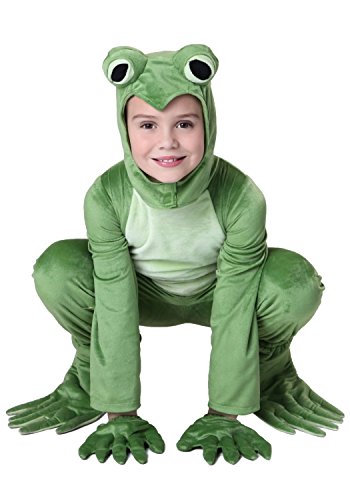 Fun Costumes unisex-child Big Boys' Deluxe Frog Costume
