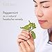 Peppermint Essential Oil - 100% Pure Therapeutic Grade for Hair Growth, Head Aches, Skin, Mice, Relaxation, Diffuser - 10ml