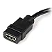 StarTech.com 8in HDMI to DVI-D Video Cable Adapter - HDMI Female to DVI Male - HDMI to DVI Dongle Adapter Cable (HDDVIFM8IN),Black