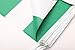 Nigeria Flag,TSMD 100 Feet Nigerian Flag National Country Pennant Flags Banner String,Party Decorations For Grand Opening,Olympics,Bar,School Sports Events,International Festival Celebration Events