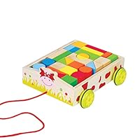 Educational Toy Kit for Babies & Toddlers - Magnetic Wooden Pull Cart on Wheels Toy with Colorful, Geometric Blocks for Learning Spatial Awareness, Shapes, & Colors