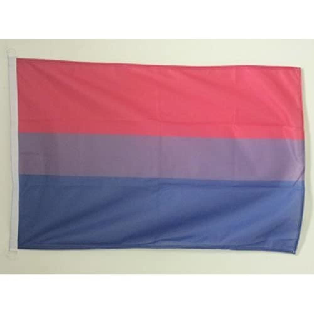 AZ FLAG - Bisexuel Flag - 2x3 Ft - For Outdoor - Rainbow Bi Pride Banner Knitted Polyester with Two Plastic Rings - Fade Resistant - Vivid Colors - 2' x 3' Feet - 90x60 Cm
