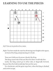 Japanese Chess: The Game of Shogi