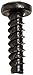 Small Parts 0306LPPB Steel Thread Rolling Screw for Plastic, Black Oxide Finish, Pan Head, Phillips Drive, #3-24 Thread Size, 3/8