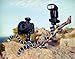 Joby GorillaPod Hybrid Flexible Tripod (Gray) for Compact System Cameras and for Action Cameras and a Bonus Universal Smartphone Tripod Mount Adapter works for iPhone 7, 7 Plus, 6, 6 Plus, 5, 5s, 5c, HTC One, Galaxy S2, S3, S4, S5, S6, S7 and Most Smartphones