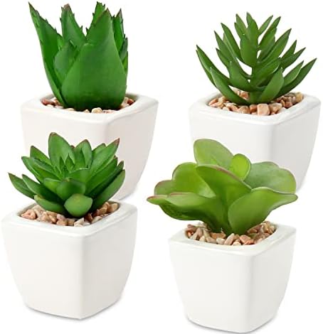 Hollyone Succulents Plants Artificial 4Pcs Small Fake Succulents in Pots  Faux Plastic Potted Plants with White Ceramic Pot for Home Decor Office Desk  Bathroom Shelf Indoor & Outdoor Decoration price in Egypt |