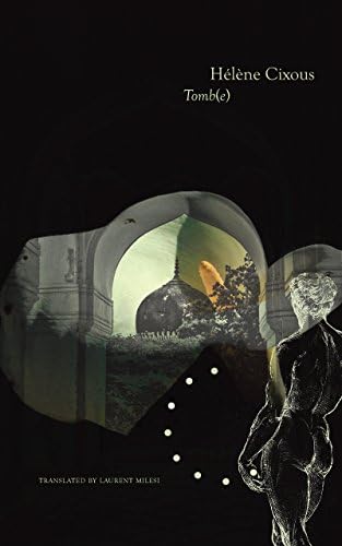 Tomb(e) (The French List - (Seagull titles CHUP)) Hardcover – 11 Nov. 2014