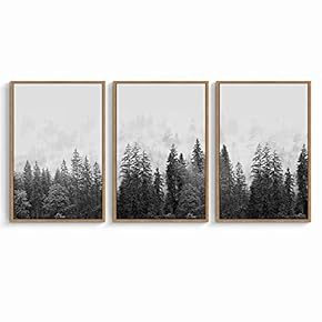 signwin 3 Piece Framed Canvas Wall Art Black...