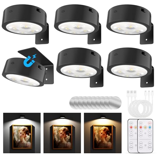 Tututry Picture Lights