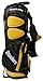 Team Golf NFL Pittsburgh Steelers Fairway Golf Stand Bag, Lightweight, 14-way Top, Spring Action Stand, Insulated Cooler Pocket, Padded Strap, Umbrella Holder & Removable Rain Hood