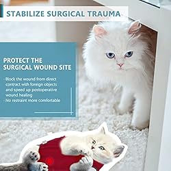 SUNFURA Cat Recovery Suit for Abdominal Wounds Spay