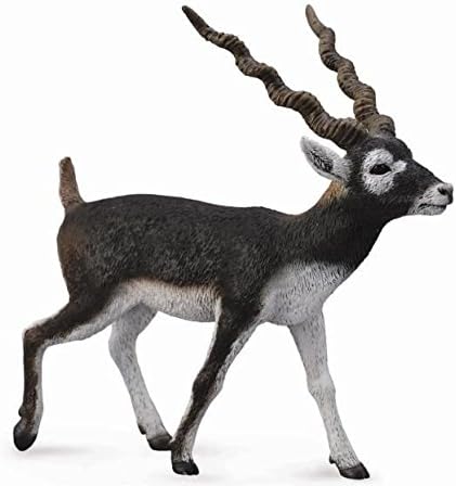 CollectA Wildlife Blackbuck Toy Figure - Authentic Hand Painted Model