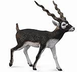 CollectA Wildlife Blackbuck Toy Figure - Authentic Hand Painted Model