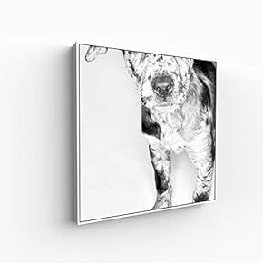 Canvas Wall Art for Living Room, Bedroom Portrait Framed Canvas Prints for Home Decoration Ready to Hang - 16x16 inches