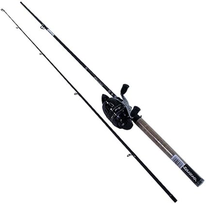 daiwa spincast combo