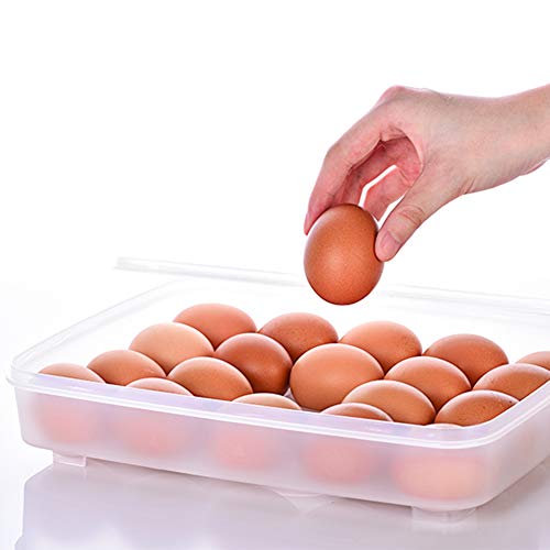 HANSGO Egg Holder for Refrigerator, Deviled Egg Tray Carrier with Lid Fridge Egg Dispenser Egg Storage Stackable Plastic Egg Containers, 24 Egg Box