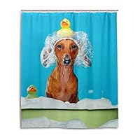 Chen Miranda Waterproof Shower Curtain for Everday Use Dachshund Dog Having Bath Bathroom Set Polyester Fabric Shower Curtain with Hooks 60x72 inch