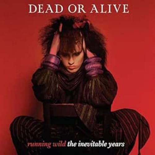 Dead or Alive - Still Spinning: The Singles Collection - 27CD