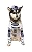 Star Wars R2-D2 Pet Costume